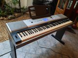 Yamaha Grand Portable Digital Piano DGX 520