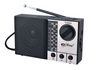 PORTABLE MULTIBAND FM RADIO & SPEAKER Audio & MP3