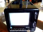 IRRADIO Portable Tv