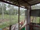 Portable Shop Cabin for Sale