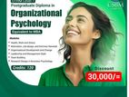 Postgraduate Diploma in Organizational Psychology