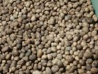 Potato Seed Tubers