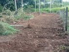 Pothuhera 15 P Land for Sale