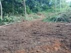 Pothuhera 17.4 P Land for Sale