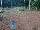 POTHUHERA : 32.4P PREMIUM LAND FOR SALE