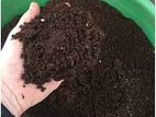 Compost Soil