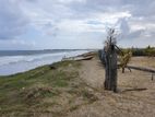 POTTUVIL : 5 ACRES PRIME BEACHFRONT LAND FOR SALE