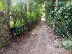 ​පොතුහැරින් පර්චස් 41 ක වටිනා ඉඩමක් විකිණීමට