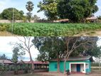 Poultry Farm with Valuable Land for Sale in Kilinochchi