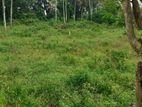 පර්. 80, හයිලෙවල් පාර, ගොඩගම, හෝමාගම