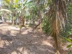 (PR1213) Land for Sale in Katunayake