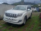 Prado 150 for Rent