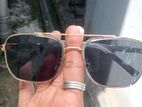 Sunglass