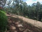 Land for Sale Boralanda