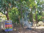 පර්චස් 13.6 ක ඉඩමක් කොස්පැලෑනෙන්
