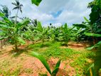 කුරුණෑගල පර්චස් 14.8ක ඉඩමක් විකිණීමට