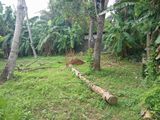 පර්චස් 15ක් වටිනා නේවාසික ඉඩමක් විකිනීමට