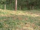 Land for sale in Divulapitiya