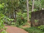 පර්චස් 21.0 ඉඩමක් විකිණීමට – පානදුර ප්රදේශයෙන්