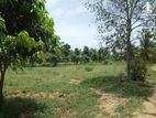 Land for Sale in කටුවන