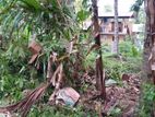 අගනා ඉඩම් විකිණීමට - මුල්ලේරියාව