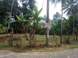 Land For Sale In Ingiriya