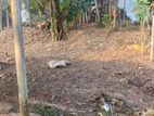 පර්චස් 27ක බිම් කොටසකි Gurugalla