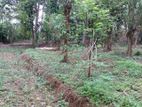 Land for Sale in Kandy Wattegama