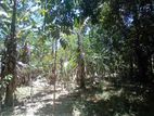 පර්චස් 34 අගනා ඉඩමක් - වැල්ලවාය