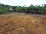 පර්චස් 50 ක අගනා බිම් කොටසක් විකිණීමට