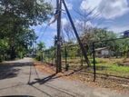 පර්චස් 50ක වටිනා ඉඩම මහරගම පිලියන්දල පාරෙන් විකිනීමට