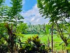 📢 පර්චස් 53යි, නිවාස 2යි - මුළු මිලම ලක්ෂ 40යි