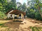 පර්චස් 65ක දැවැන්ත ඉඩමක් සහ නිවසක් මීරිගම