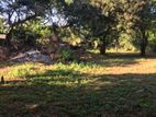 Land for Sale Kataragama