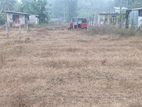 Land for Sale in Meegoda