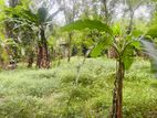 Land for sale - Kalagedihena