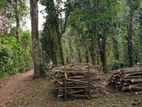 ඉඩමක් විකිණීමට මාවෙලගම