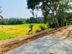 ප්රධාන මර්ගයෙන් වෙල් යායකට මුහුණලා