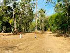 ප්‍රධාන පාරට මුහුනලා සින්නක්කර ඉඩමක් විකිනිමට කතරගම