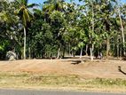ප්‍රධාන පාරට මුහුනලා සින්නක්කර ඉඩමක් විකිනිමට කතරගම