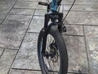 Mountain Bicycle