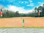 Precious Land For Sale In Homagama Watareka