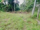 Precious Land for Sale in Ja-Ela