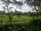 Precious Land for Sale Near Rattanapitaya Junction