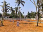 Precious Land Plot for Sale in Pannipitiya P32