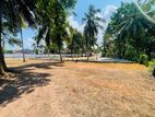 Precious Land Plot for Sale in Wattala Mahabage