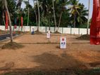 Precious Land Plot in Pannipitiya Vidhyala Junction P32