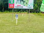 Precious Land Plots for Sale in Beliatta
