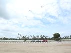Precious Plots for Sale in Negombo
