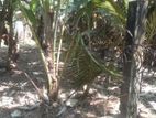 Precious Residential Land for Sale in Kurunegala Town